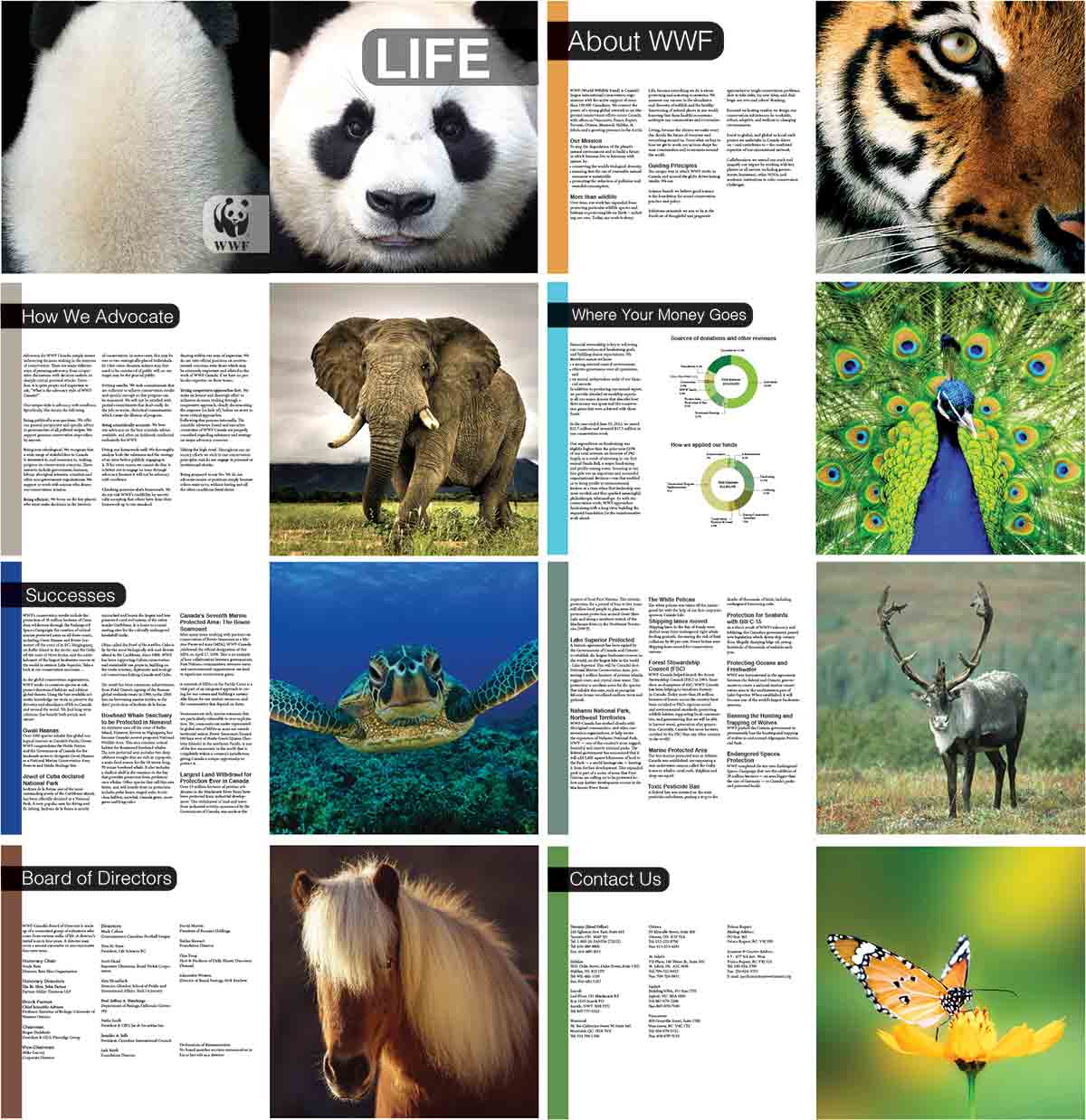 world wildlife federation promotion booklet